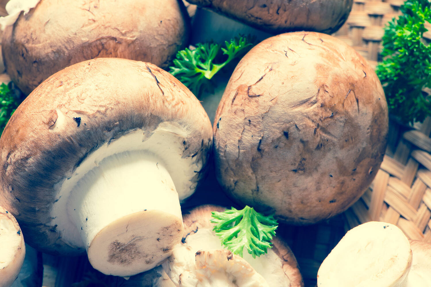 Kastanje champignons los kist 4 kilogram